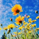 สมาชิกหมายเลข 2979212