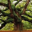 สมาชิกหมายเลข 900700