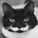 สมาชิกหมายเลข 1340586