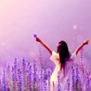 ลาเวนเดอร์ ณ เกาะทะเลใต้