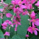 สมาชิกหมายเลข 2979363