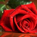 สมาชิกหมายเลข 3429766