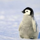 สมาชิกหมายเลข 2776883