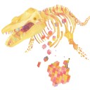 ปลาหมึกบนดวงจันทร์