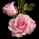 สมาชิกหมายเลข 1768530