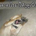 สมาชิกหมายเลข 1768617