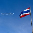 สมาชิกหมายเลข 1556639