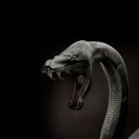 สมาชิกหมายเลข 1927959