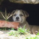 สมาชิกหมายเลข 832640