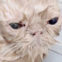 สมาชิกหมายเลข 2576229