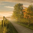 สมาชิกหมายเลข 1161672