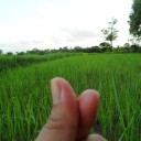 สมาชิกหมายเลข 3431497