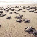 สมาชิกหมายเลข 939310