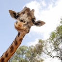 สมาชิกหมายเลข 940305