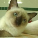 สมาชิกหมายเลข 940443