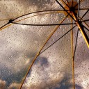 สมาชิกหมายเลข 1748685