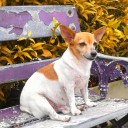 นอนไม่หลับน่อ