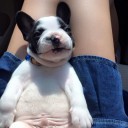 สมาชิกหมายเลข 2981164