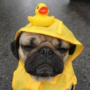 สมาชิกหมายเลข 843700