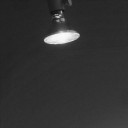 สมาชิกหมายเลข 2464630