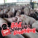 คิดได้คิดไป