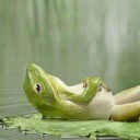 สมาชิกหมายเลข 940893