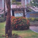 สมาชิกหมายเลข 1343268