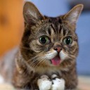 สมาชิกหมายเลข 1769421