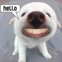 สมาชิกหมายเลข 1769460