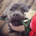 สมาชิกหมายเลข 2604485