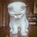 สมาชิกหมายเลข 3432388