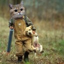 สมาชิกหมายเลข 940961