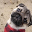 สมาชิกหมายเลข 2179742