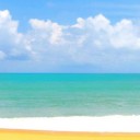 สมาชิกหมายเลข 941856