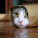 คุมะคาราเมล