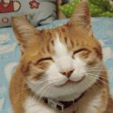 สมาชิกหมายเลข 942047