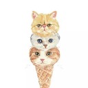 บราวนี่ชาเขียว