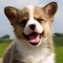 สมาชิกหมายเลข 1751549