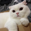 สมาชิกหมายเลข 1300006