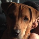 สมาชิกหมายเลข 1218973