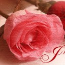 สมาชิกหมายเลข 1730349