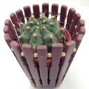 สมาชิกหมายเลข 1446031