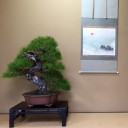 สมาชิกหมายเลข 3194201