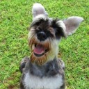 สมาชิกหมายเลข 3434090