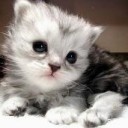 สมาชิกหมายเลข 1345322