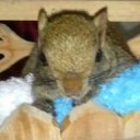 สมาชิกหมายเลข 815621