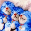 สมาชิกหมายเลข 2579137