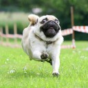 สมาชิกหมายเลข 1074333