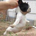 สมาชิกหมายเลข 1237994