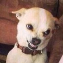 สมาชิกหมายเลข 946405